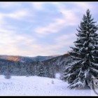 img_2789