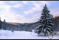 img_2789