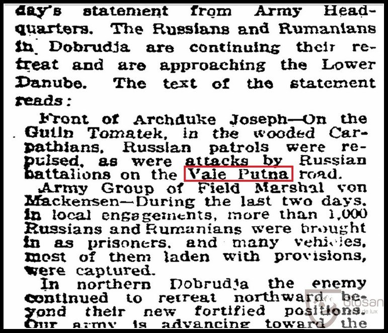 valea_putnei_nytimes_1.jpg