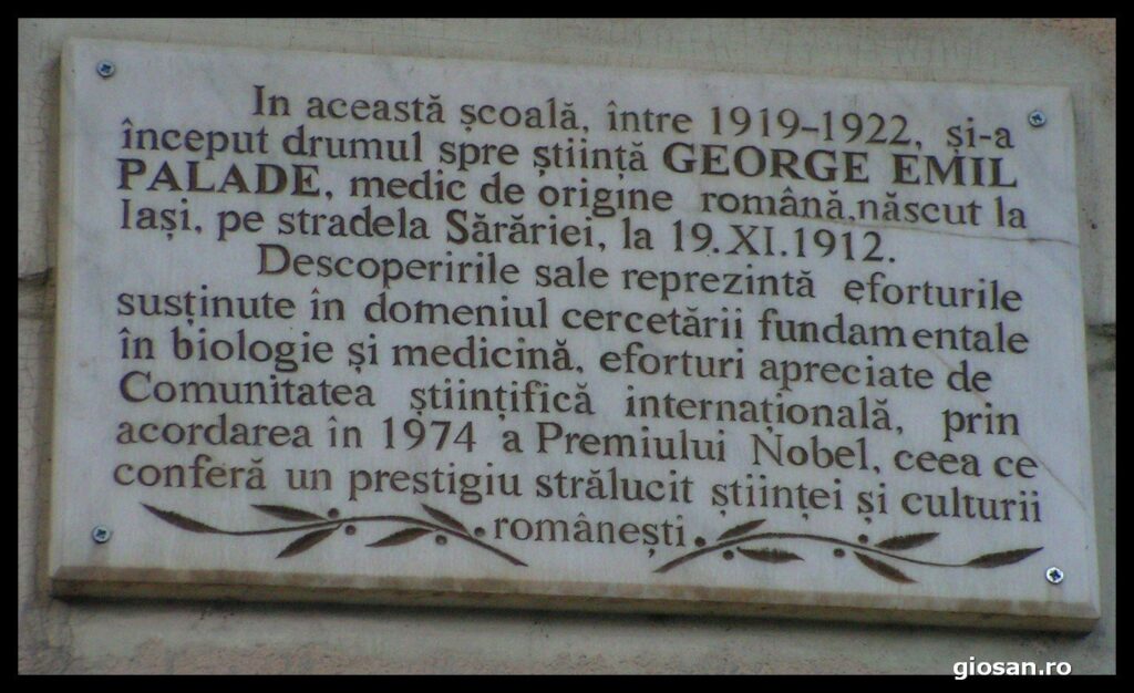 pict4134.jpg