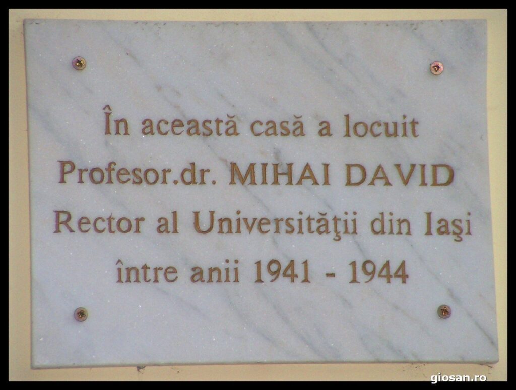 pict4135.jpg